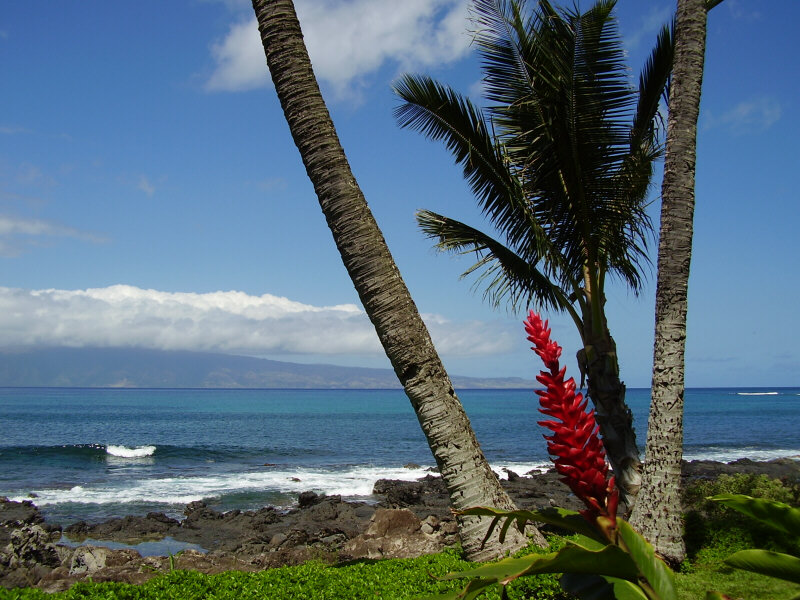 More Maui Photos